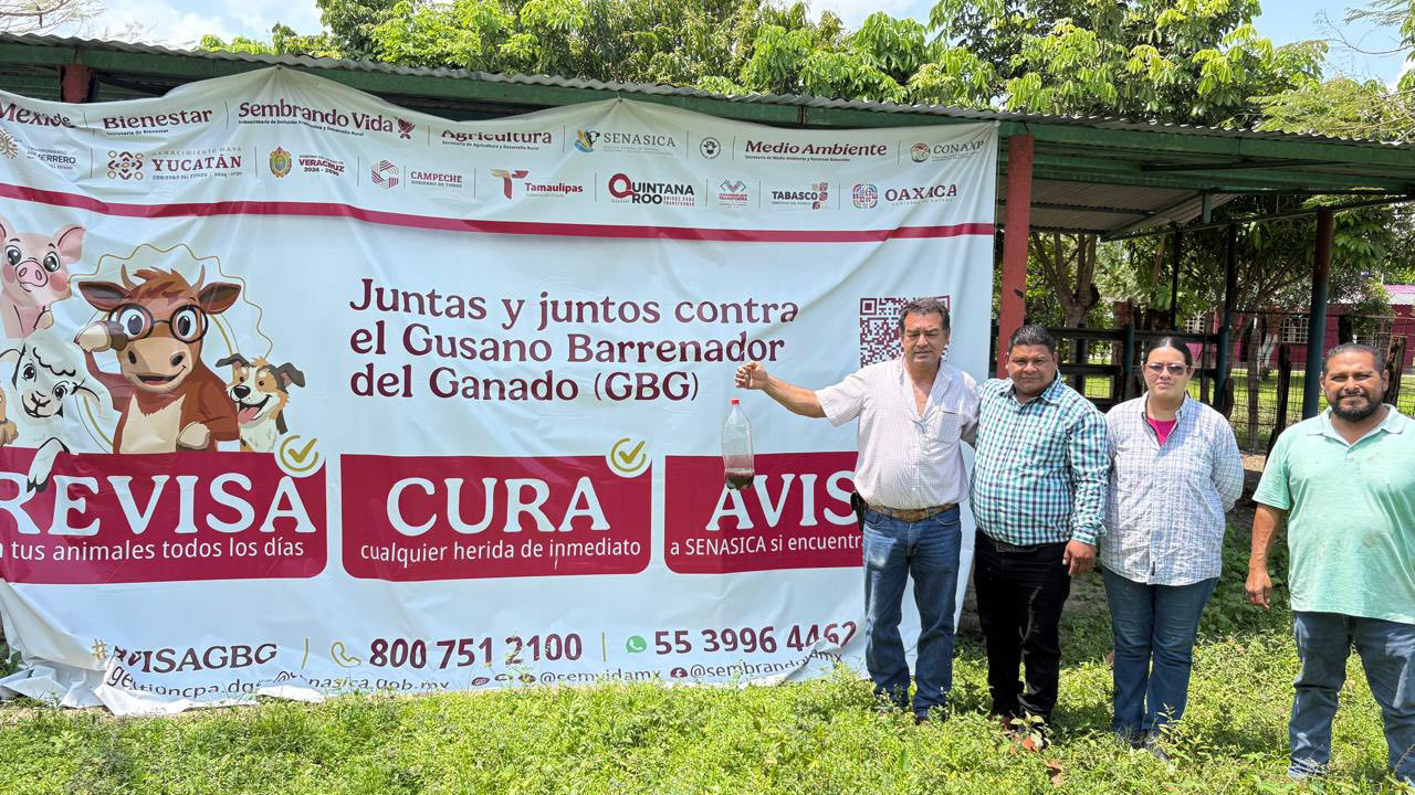 655292926_122213866400434124_8627714000269179824_n